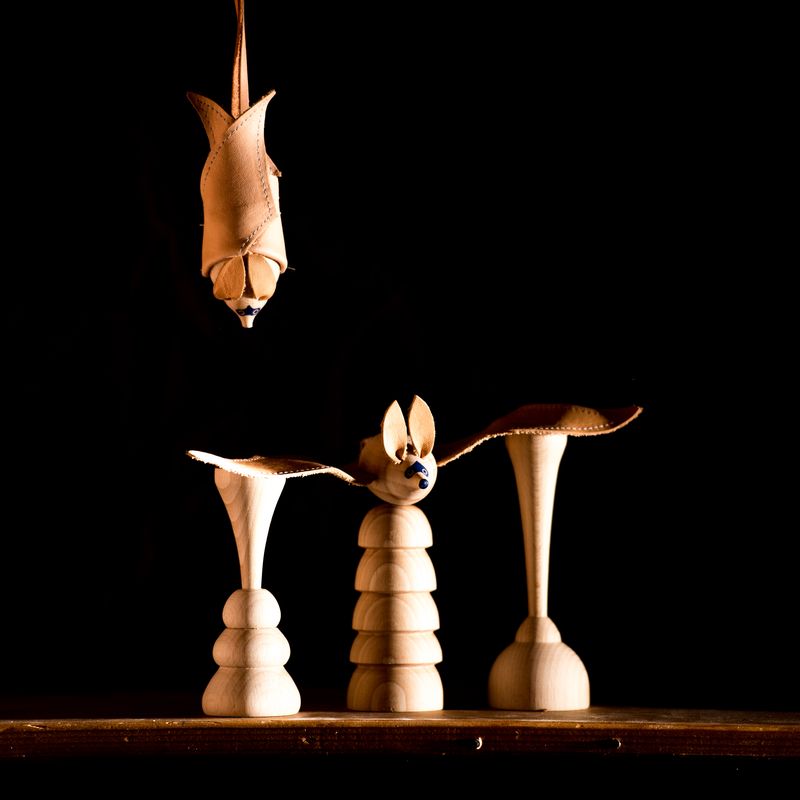 Big-eared bat - closed wing