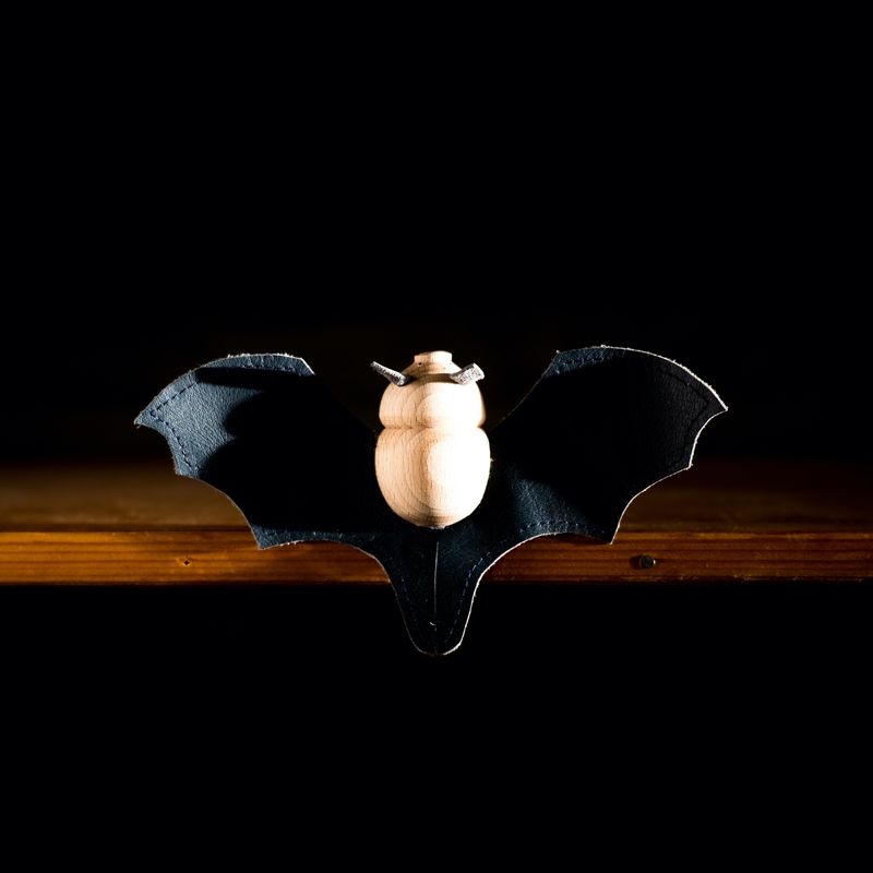Horseshoe bat - open wing