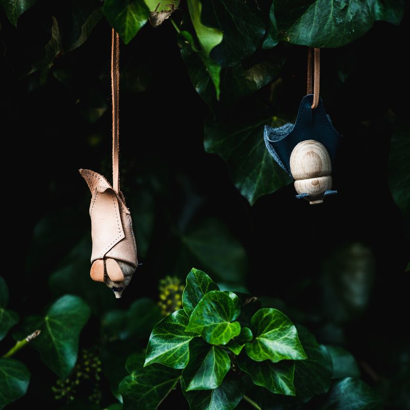 Big-eared bat - closed wing