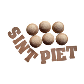 Magic Mini's Sinterklaas