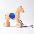 Horse Holly