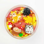 Surprise Pots Winter Collection