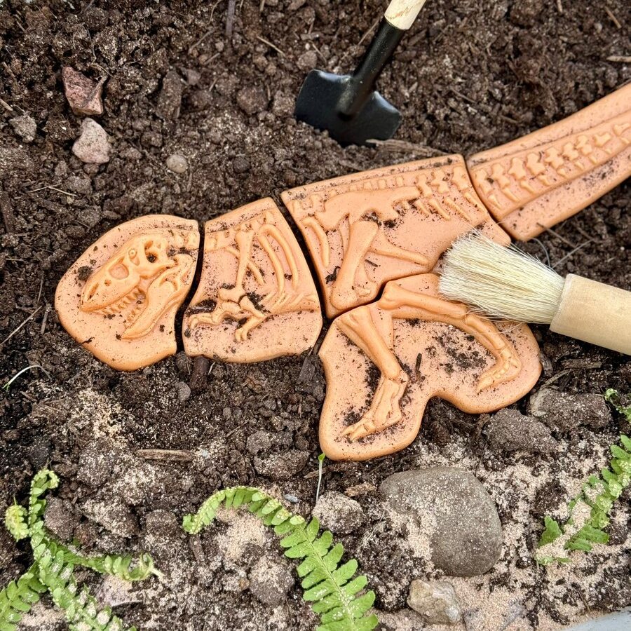 Yellow Door dig & discover ankylosaurus & tyrannosaurus rex