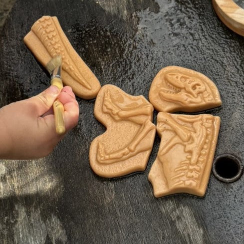 Yellow Door dig & discover ankylosaurus & tyrannosaurus rex