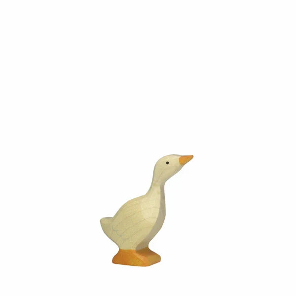 gans