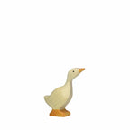 gans