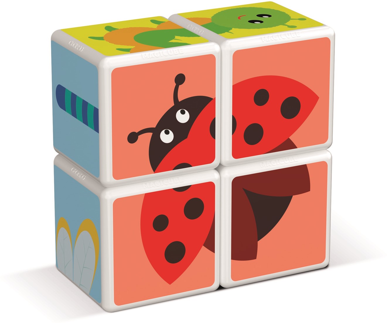 Magicube Printed Insects + Cards 7 pcs