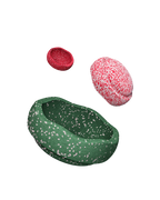 Wintereditie |  Blush Speciale Trilogy Set