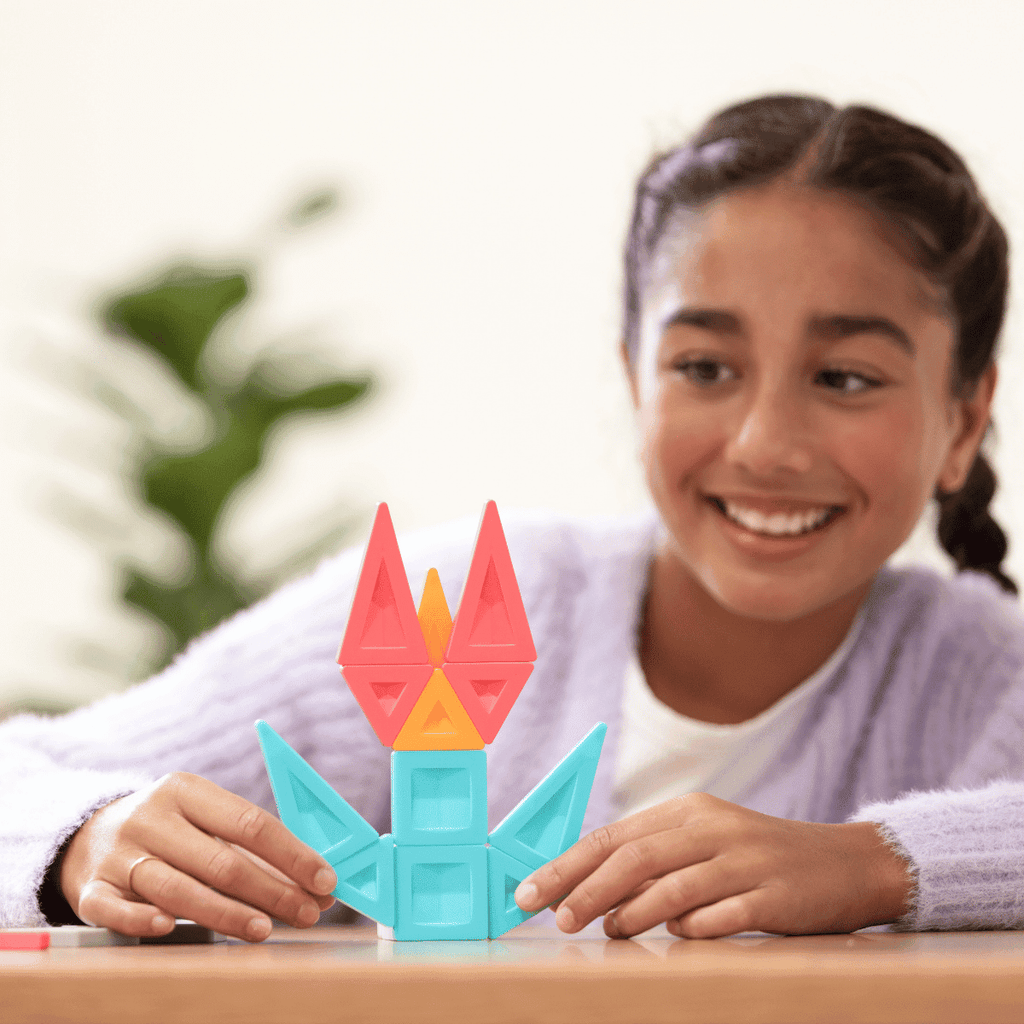 PRO Constructor*  70 stuks