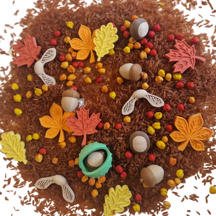 Play This Way Loose parts herfst 🌰🍁