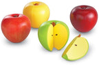 Magnetic Apple Fractions