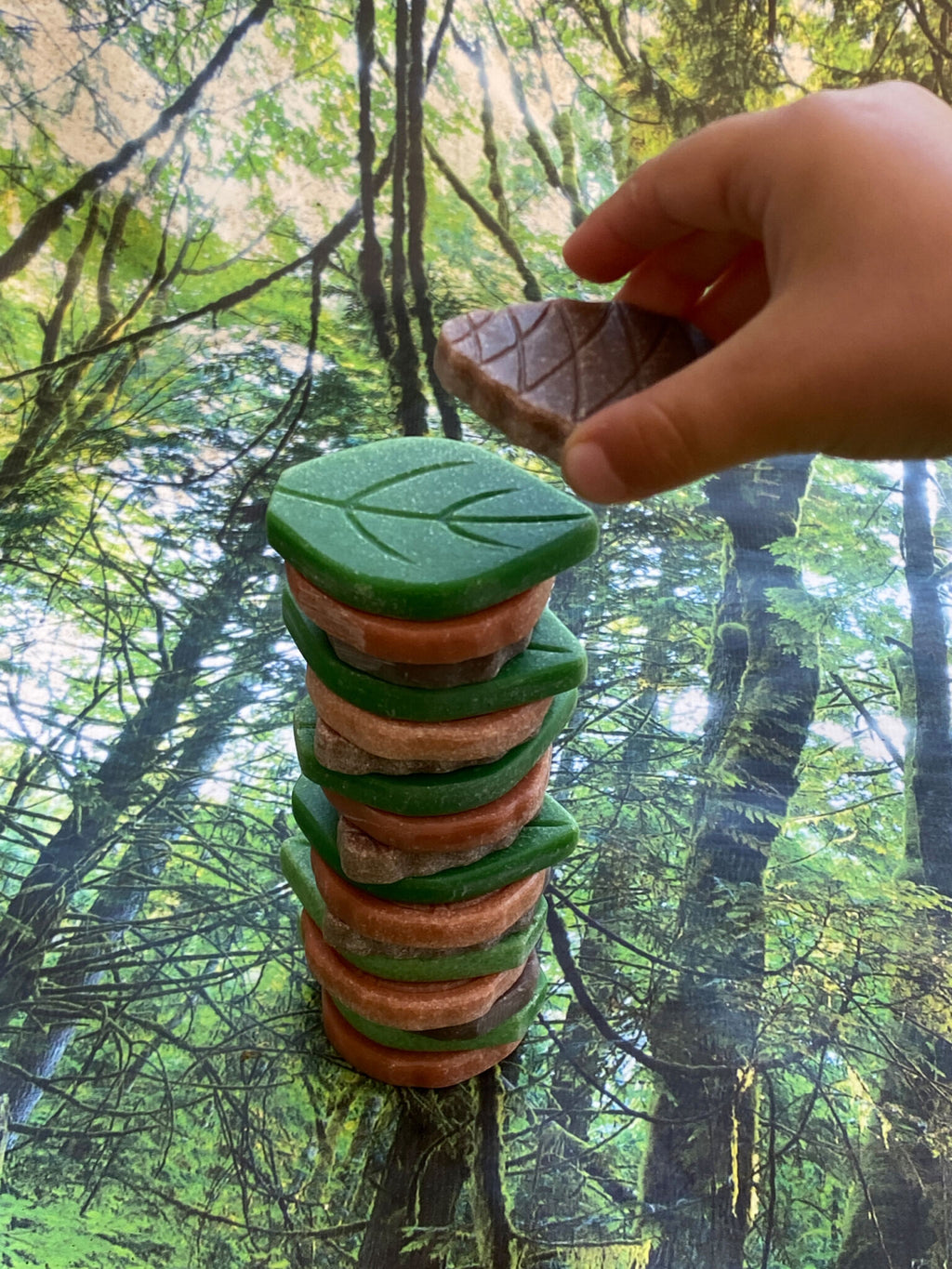 Loose Parts Collection Nature-Inspired