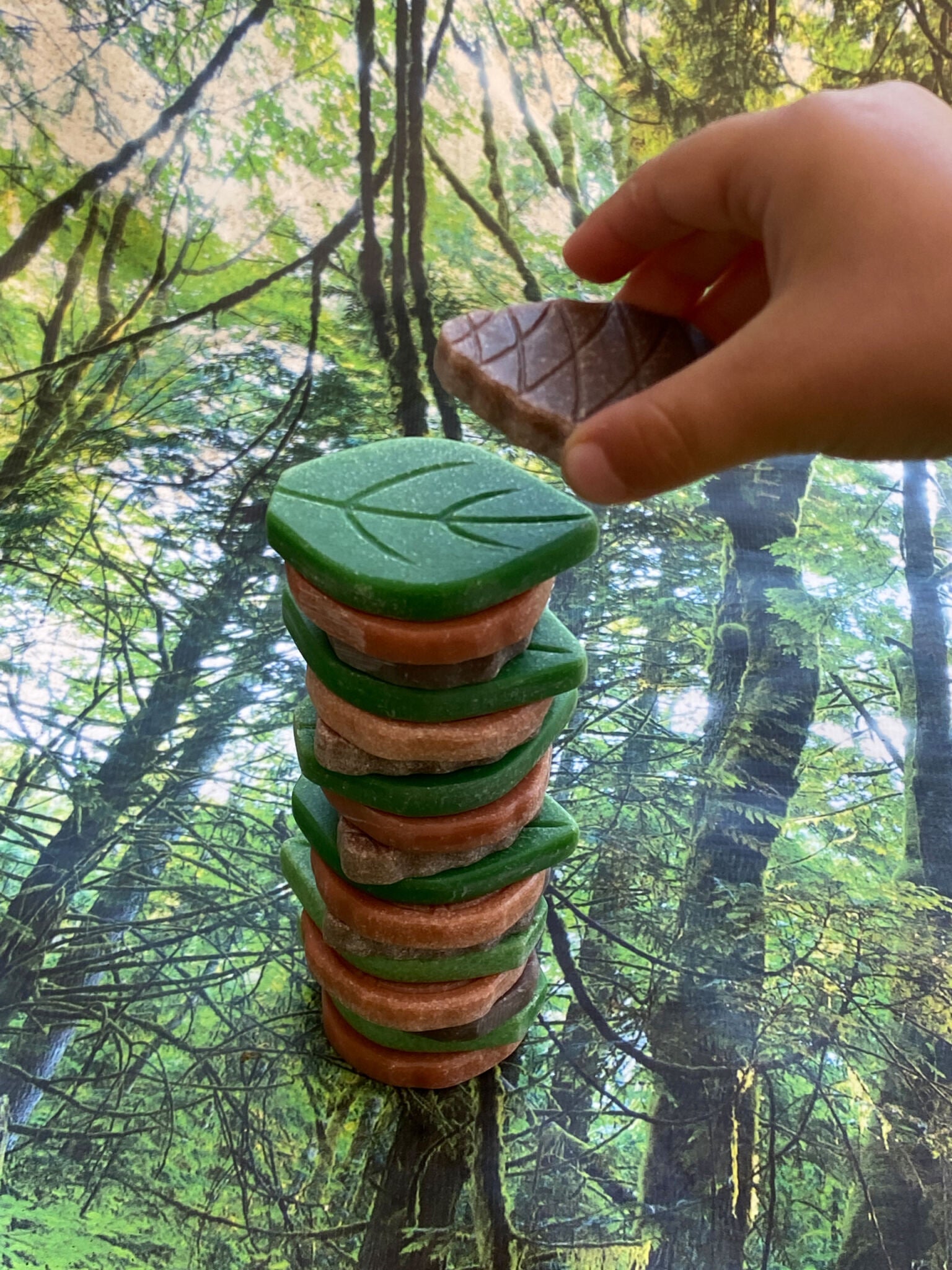Loose Parts Collection Nature-Inspired