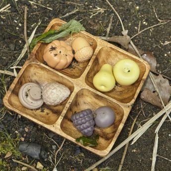 Sensory Play Set Feast of Nature