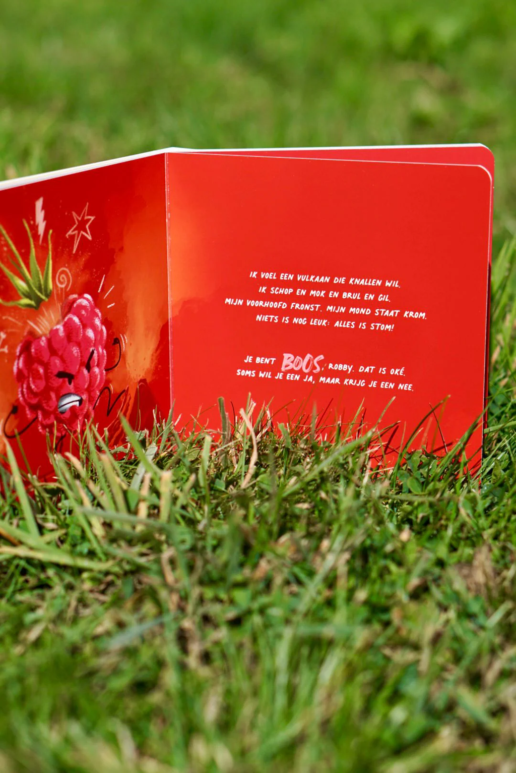 Kartonboekje Jij maakt mij framblij