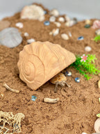 Play Shell