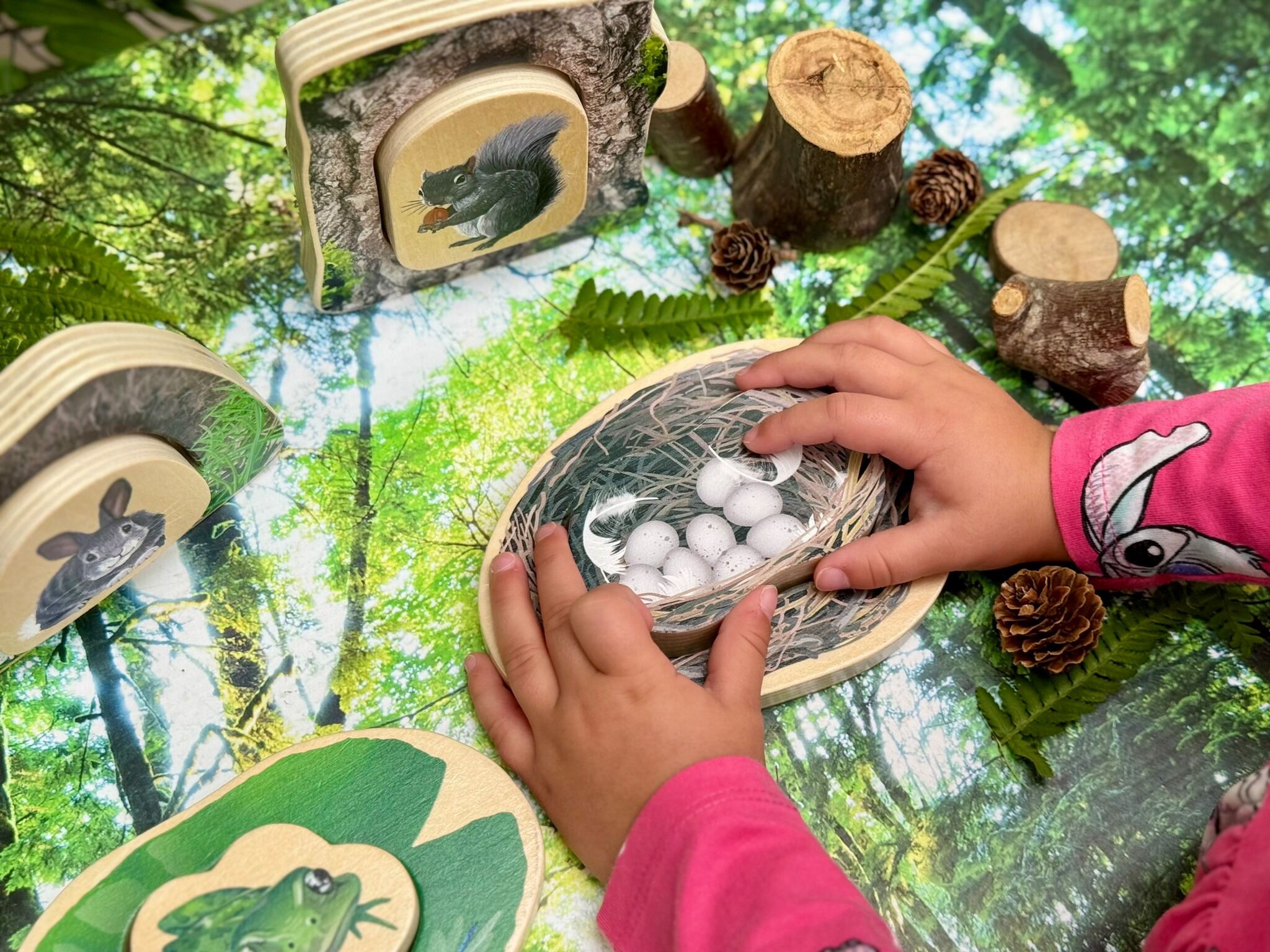 Who’s Hiding? Woodland Animals