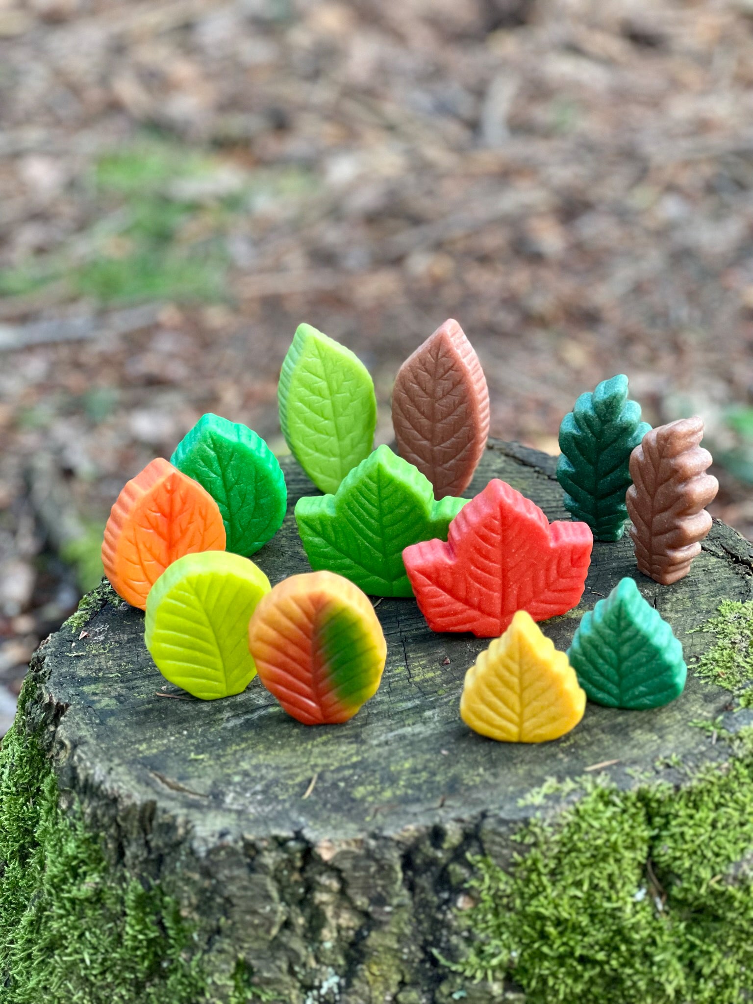 Sensory Leaves
