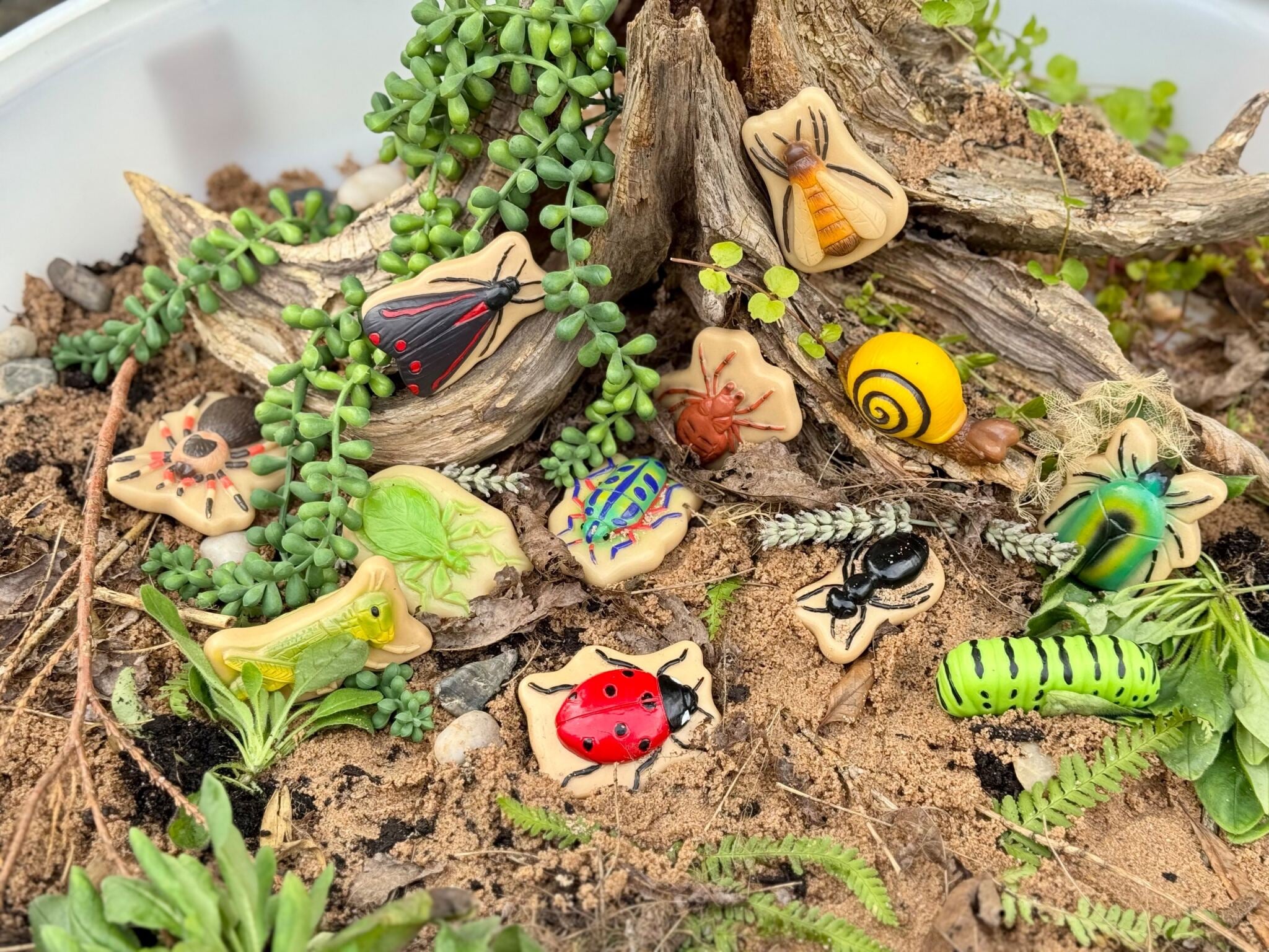 Sensory Play Stones Bugs