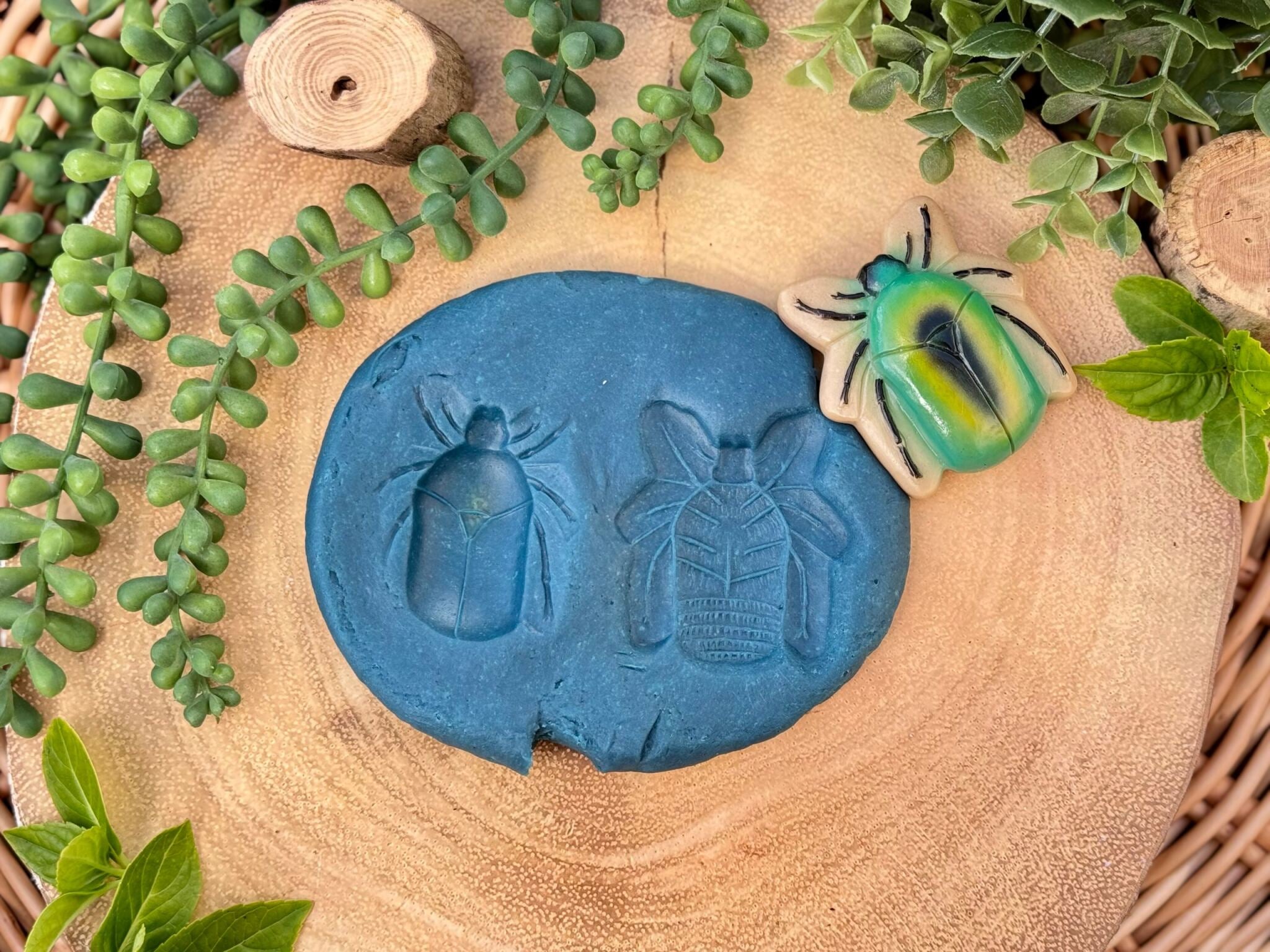 Sensory Play Stones Bugs