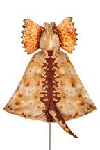 Dilophosaurus cape