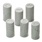 Let’s Roll  Ocean Life