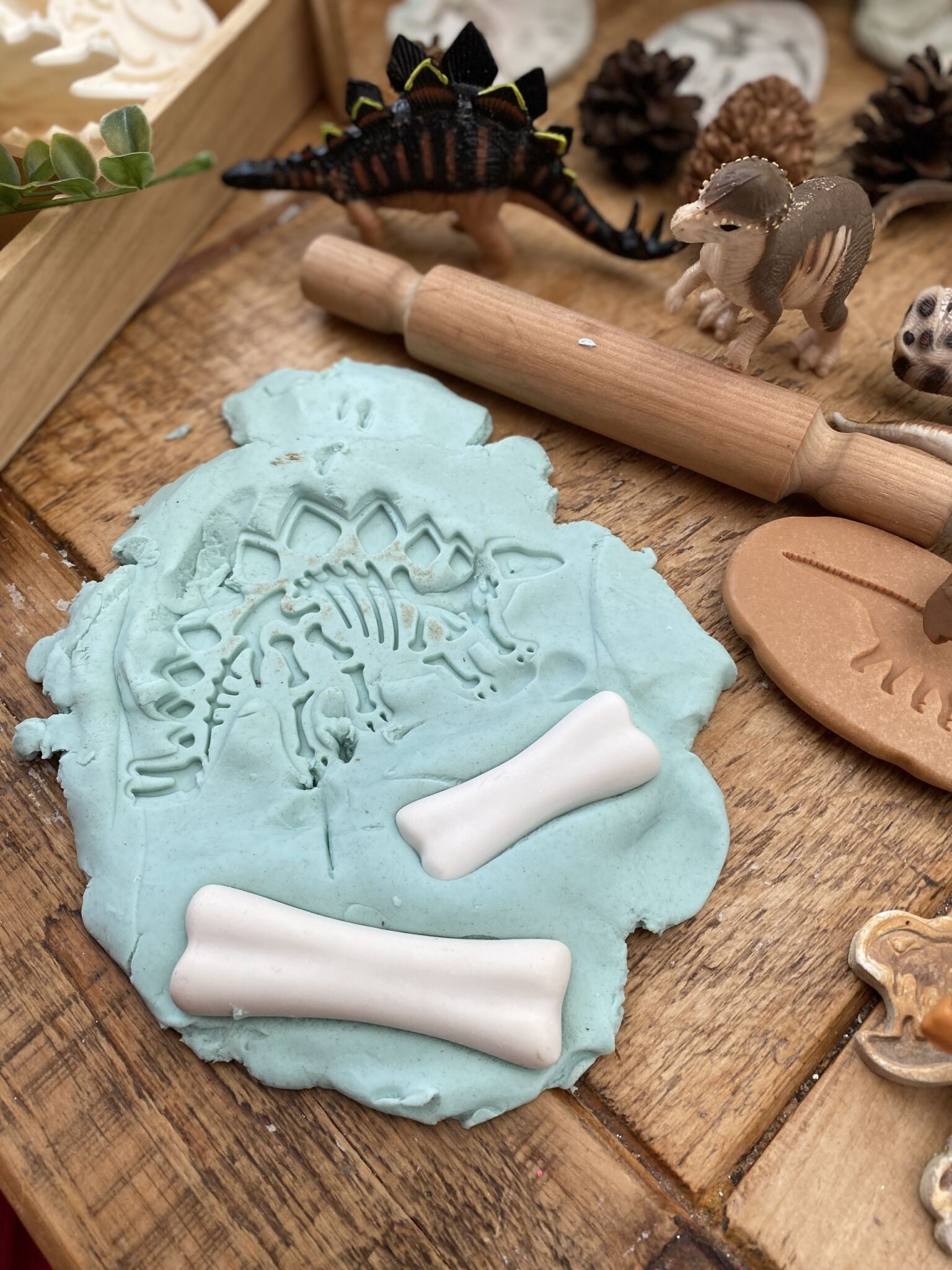 Dinosaur Bones Match and Measure Set