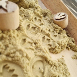 Houten stempelset Dino