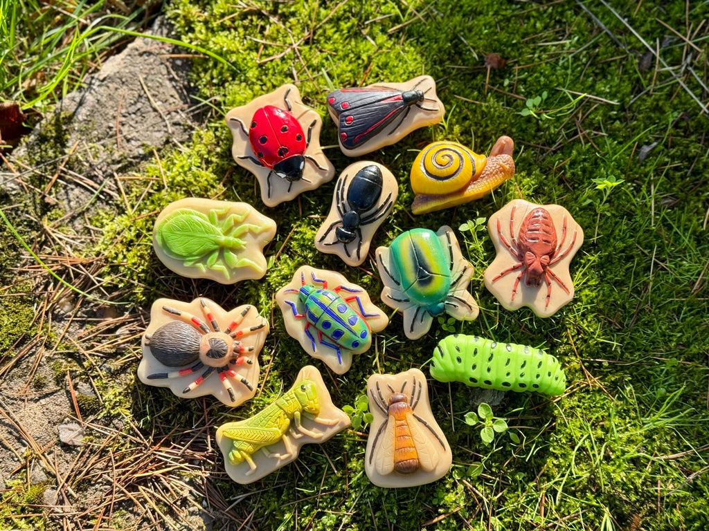 Sensory Play Stones Bugs