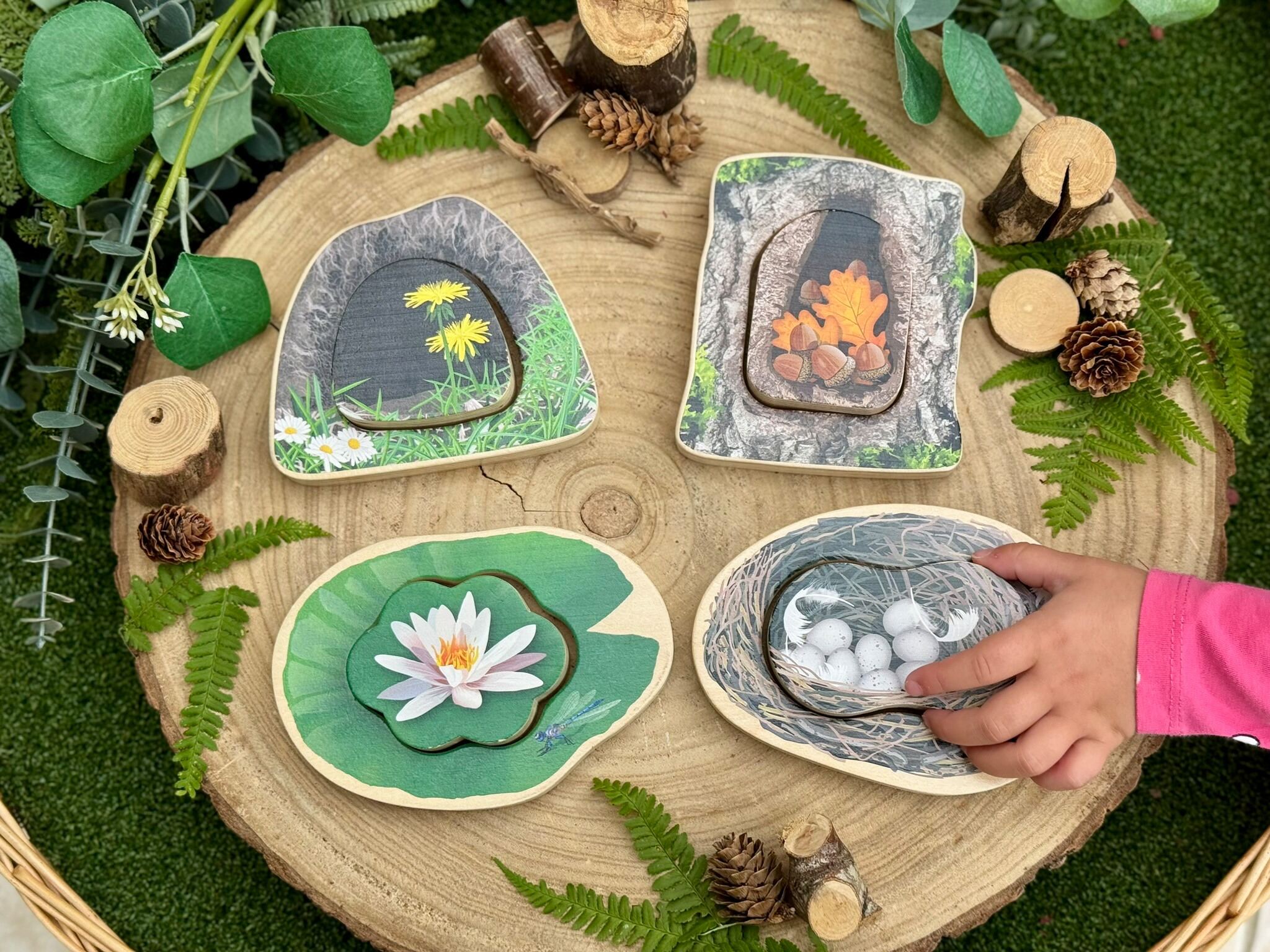 Who’s Hiding? Woodland Animals