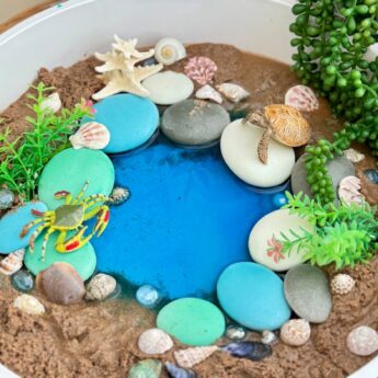 Natural Sorting Stones – Nature Collection