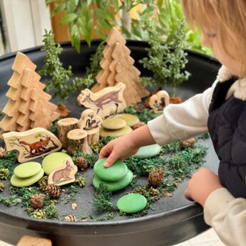 Natural Sorting Stones – Nature Collection