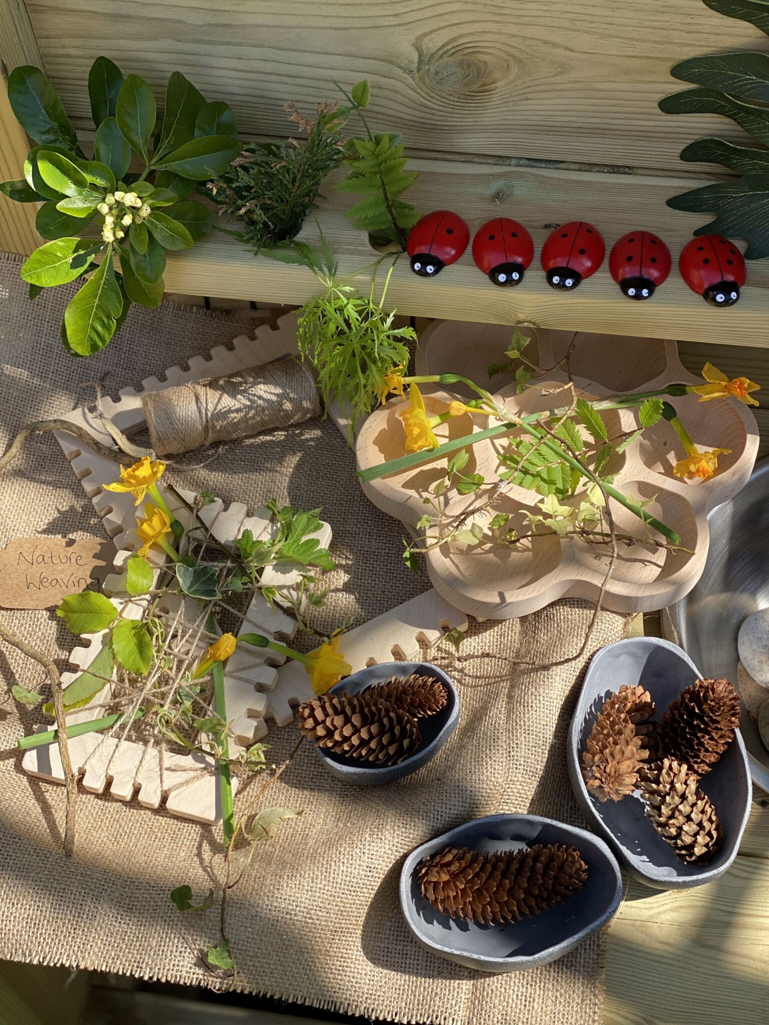 Rustic Bowls