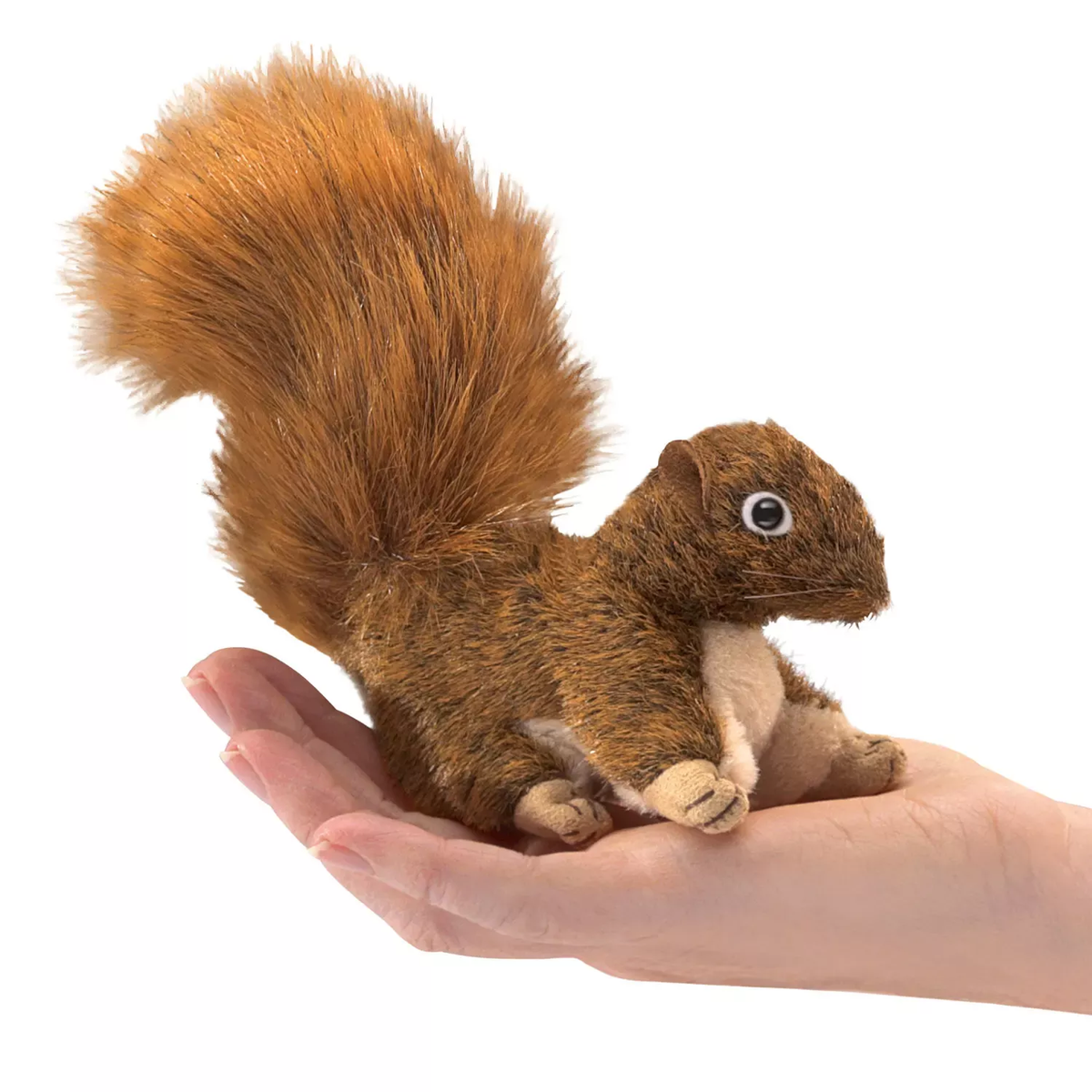 Mini Eekhoorn, Rood
