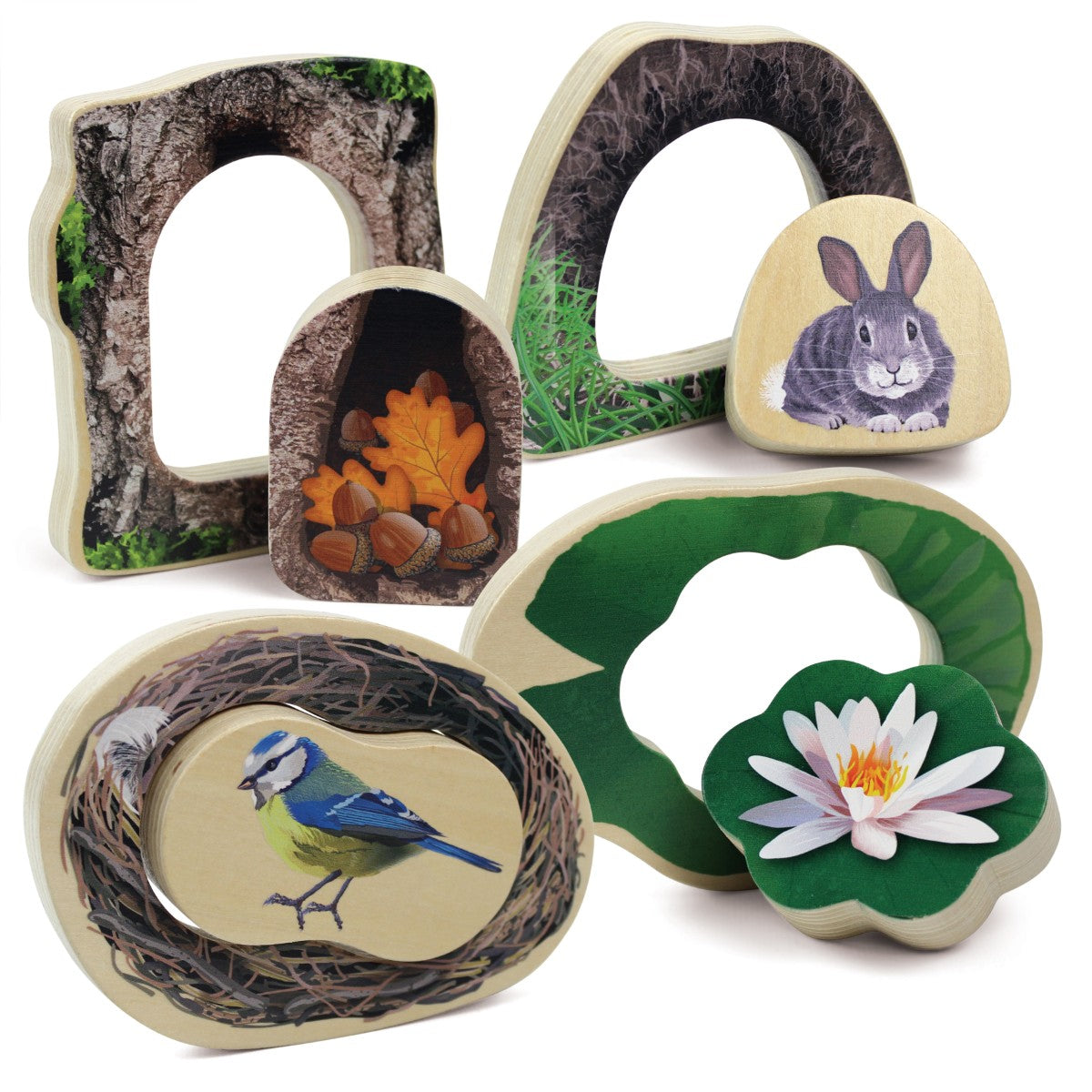 Who’s Hiding? Woodland Animals