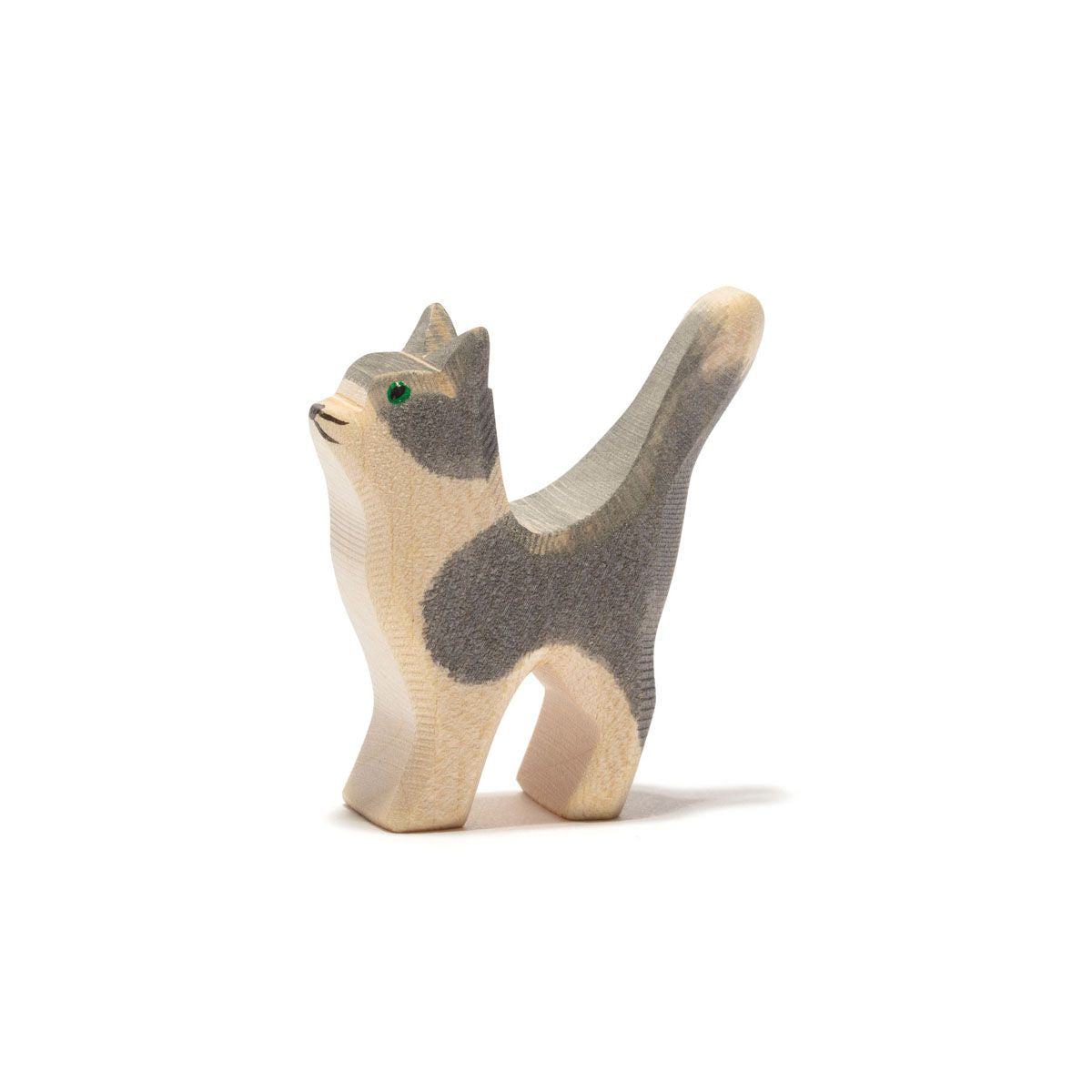 Kleine kat met opgeheven kop