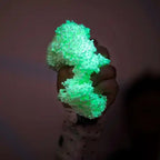 Playfoam® Glow In The Dark 8-Pack