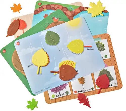 Sensorische blaadjes wiskundige sorteerset
