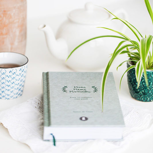 Mini Mama Momenten - Annet de Vries