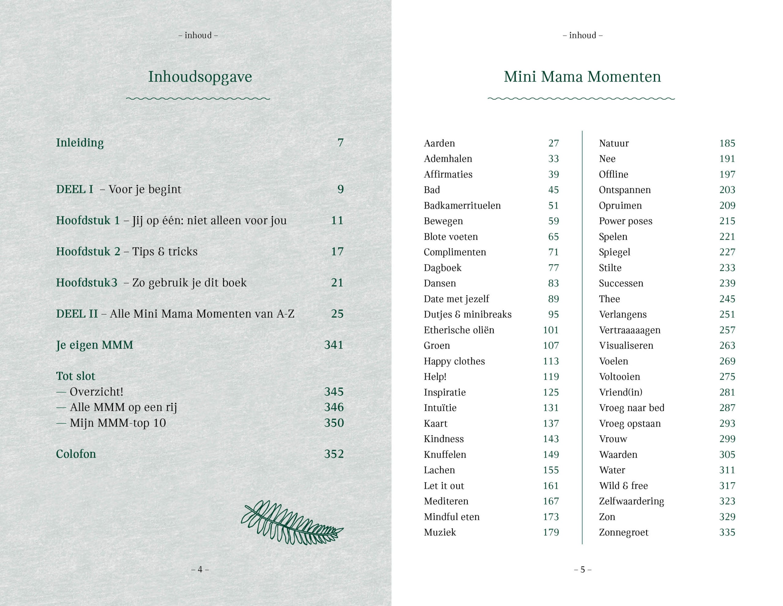 Mini Mama Momenten - Annet de Vries