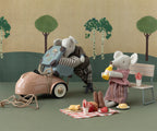 Franse Picnic set