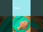 Sensory Play Stones fish