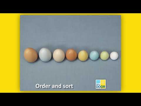 Size-Sorting Eggs