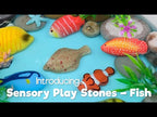 Sensory Play Stones fish