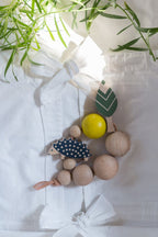 Hillside teether / Hedgehog