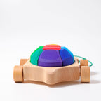 Grimm`s regenboogschildpad