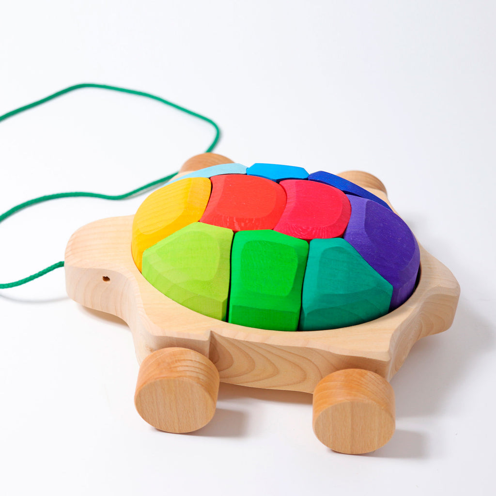 Grimm`s regenboogschildpad