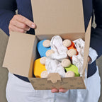 Grimm`s 6 houten auto`s in regenboogkleuren