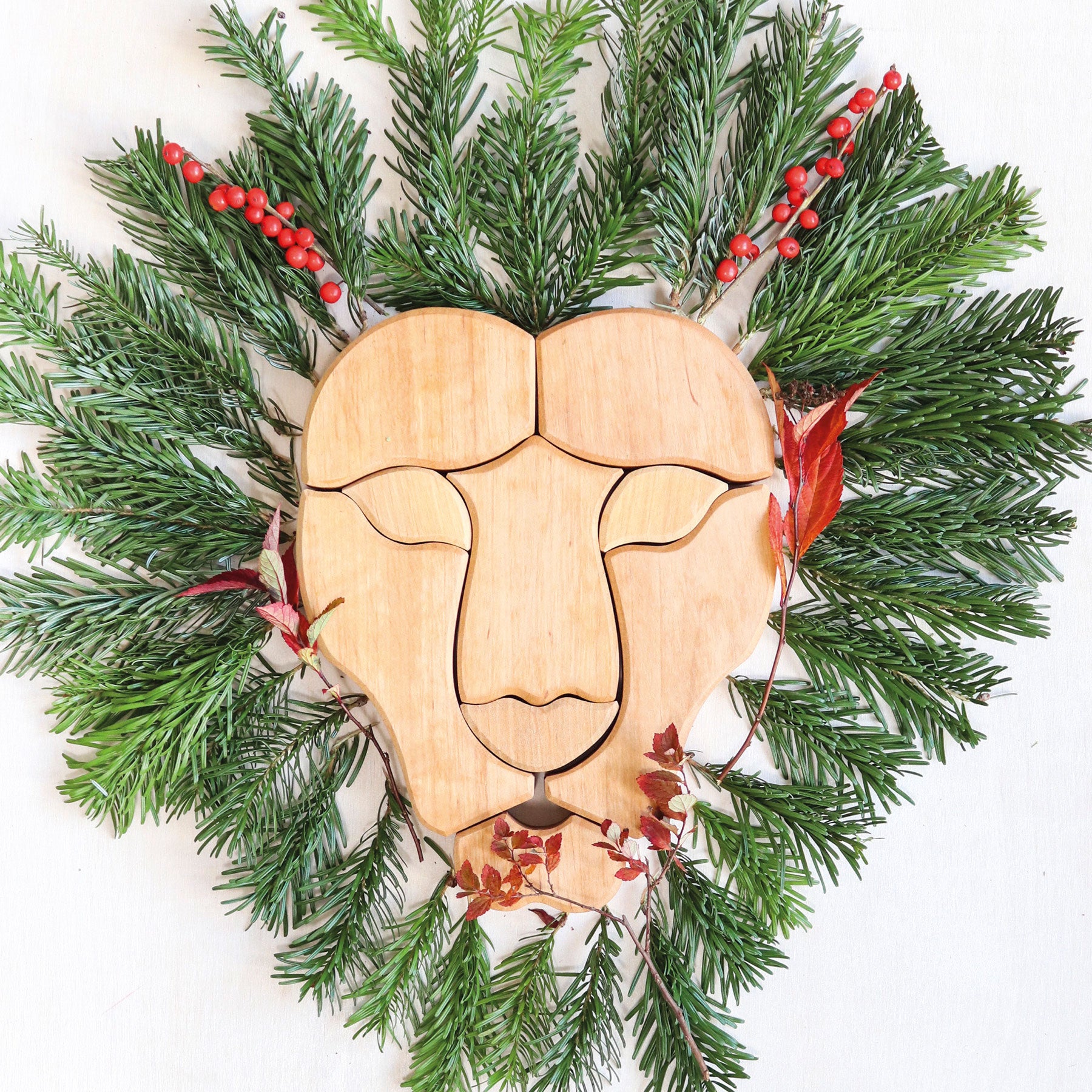 Grimm`s houten blokkenset regenboog leeuw