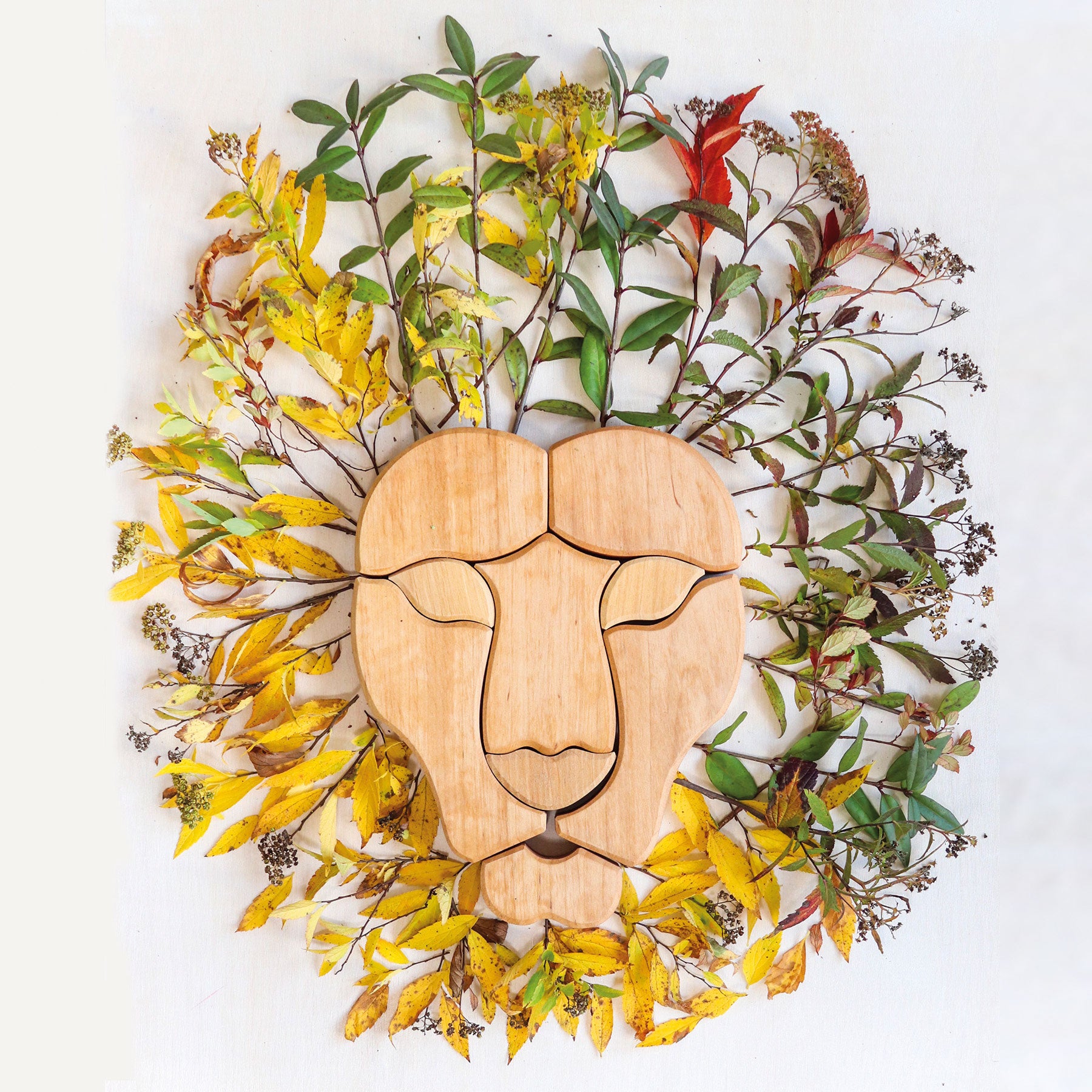 Grimm`s houten blokkenset regenboog leeuw